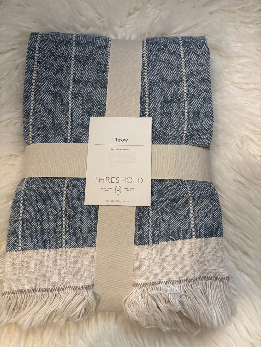 Threshold Blue and Cream Striped Woven Throw with Fringe